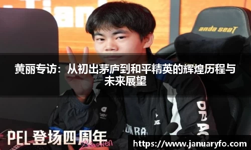 黄丽专访：从初出茅庐到和平精英的辉煌历程与未来展望